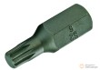 Punta xzn 10 mm, m6 x 30 mm