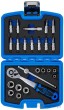 Estuche 24 pcs. 1/4" con carraca reversible 90 d. + 10 vasos cortos hex. ( 5-13 mm.) + 10 vasos con punta tx-allen-ph-pl