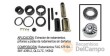 Estuche 17 utiles extracción de rodamientos, piñones y pistas de rodamientos de caja de cambios zf 165